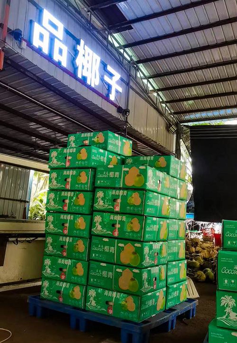 海南食品批发：解锁舌尖上的热带风情